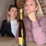 Amélie Neten Instagram - Apéro du samedi soir , BONSOIR #apero #reels #winechallenege #wine #winelover #humour