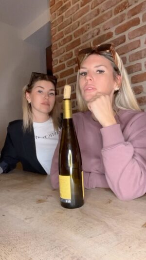 Amélie Neten Instagram - Apéro du samedi soir , BONSOIR 

#apero #reels #winechallenege #wine #winelover #humour