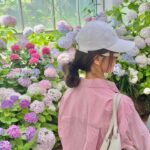 Amanda Chou Instagram - / 剛好遇到了繡球花季 逛逛美麗的花園 對於愛花之人感到特別興奮呀🌼 OOTD @majeparis #MajeParis #MajeGirls #MajeSS24