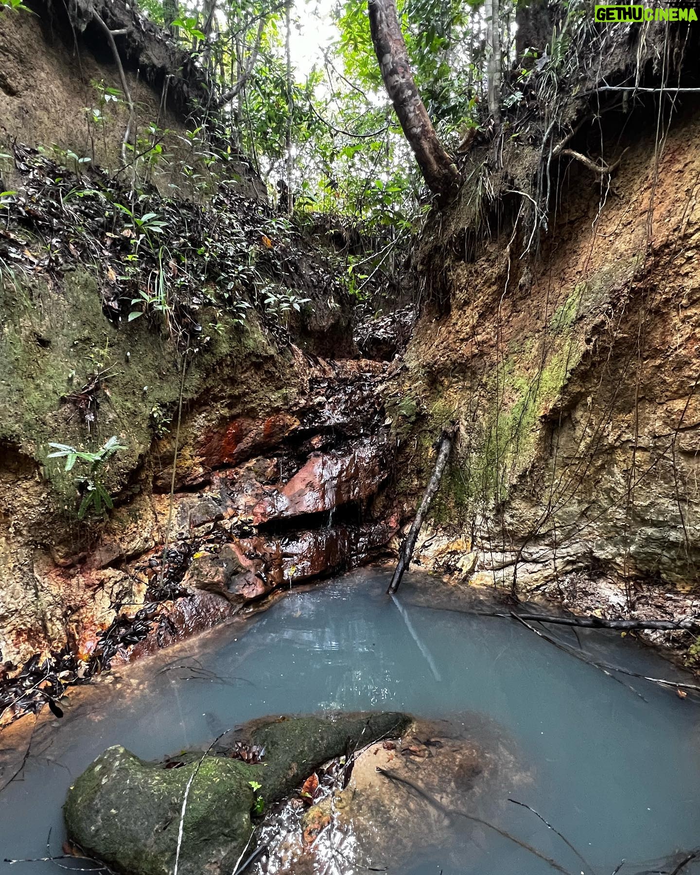 Amanda Nunes Instagram - Depois de 2 horas andando eu e a turma encontramos a nascente q deságua na minha fazenda. 💧 After 2 hours walking, we found the spring that flows into my farm. @fazendalagoaverde #fazendalagoaverde