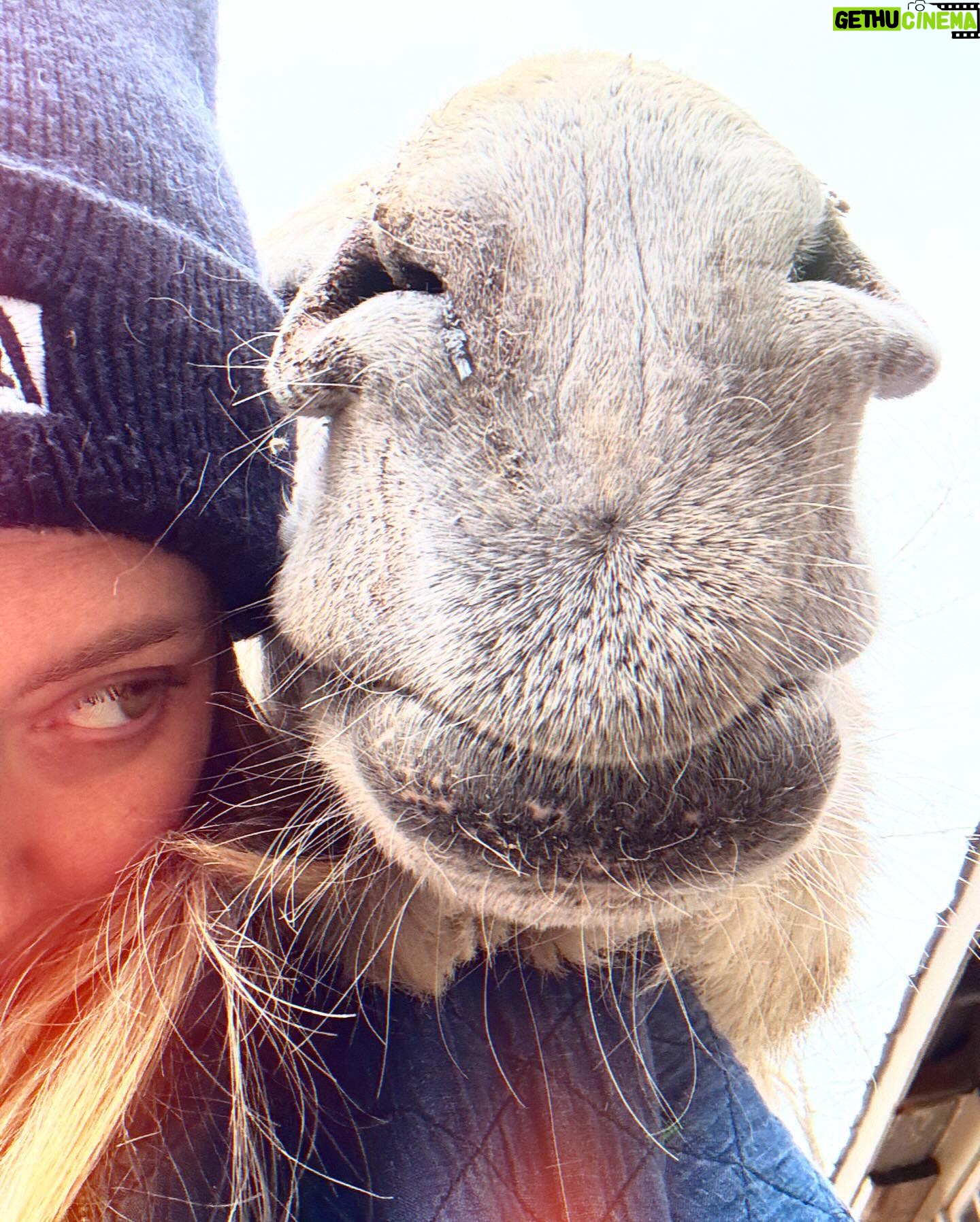 Amanda Seyfried Instagram - Sunday today