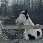 Amanda Seyfried Instagram -