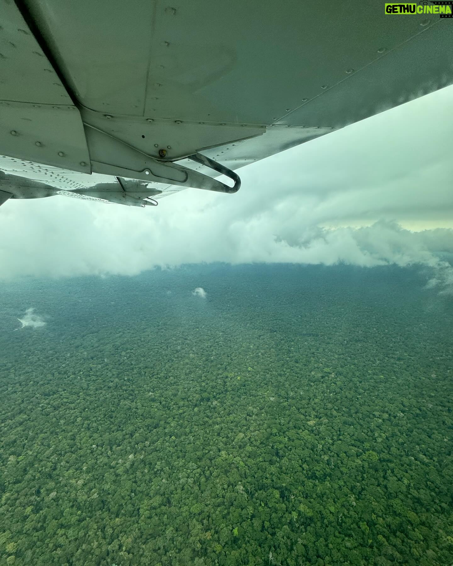Amanda de Godoi Instagram - Fim de mais uma missão! Dessa vez fomos entregar pessoalmente as mais de 7,5 toneladas em cestas básicas nas várias comunidades ribeirinhas ao longo do Rio Manicoré, no Amazonas. Milhares de pessoas estão sendo afetadas pela pior seca da história que o Norte do nosso país está passando. Muito obrigada a todas as pessoas que ajudam nas campanhas de doações. Muito obrigada ao @idesam pelas doações e pela parceria. @greenpeacebrasil