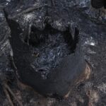 Amanda de Godoi Instagram – Hoje 05/09 é dia da Amazônia e o recado é triste: qualquer metro quadrado da floresta que não pertença a área de proteção indígena ou unidade de conservação JÁ FOI queimada. Com a aproximação de um ponto de não-retorno, nossa geração precisa tá cada vez mais ciente do que cada um pode fazer pra fazer a diferença.
Nos stories postei sobre a Brigada Digital, uma iniciativa do @greenpeacebrasil pra exatamente isso: você poder saber o que pode fazer pra proteger frear a destruição da Floresta Amazônica.

Fotos: @nilmarlage & @tuanefernandess 
#DiaDaAmazônia @greenpeace