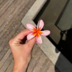 Amandine Petit Instagram - The most beautiful place 🌺🦋🌴🌞🌍💕✨ Invitation - voyage de presse @dinarobinbeachcomber