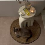 Amandine Petit Instagram – Publicité | Mon minus, un vrai garde du corps partout où je vais dans la maison il est là 🛁🤍 j’ai la chance cette année de collaborer avec une très belle marque que j’affectionne depuis petite. J’ai le souvenir d’aller à la pharmacie le mercredi après-midi avec ma grand-mère pour acheter ses produits @dexerylessentiel ✨ et je n’ai jamais changé mes habitudes j’utilise quotidiennement l’huile de douche sans parfum, sans savon. Ce sont des produits contenant que l’essentiel. #Dexeryl #DexerylEssentiel #Hydratation #HuileDeDouche #Peausèche #SoinsDeLaPeau 
Collaboration commerciale rémunérée