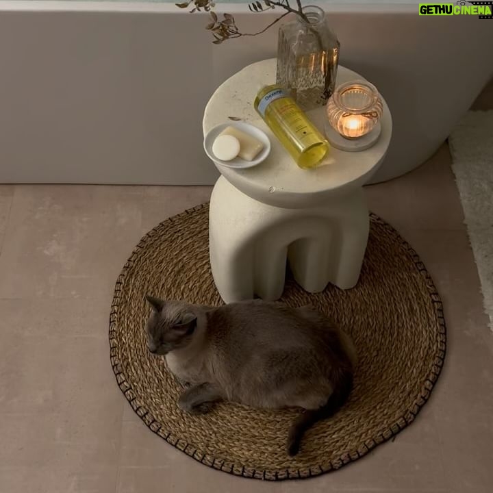 Amandine Petit Instagram - Publicité | Mon minus, un vrai garde du corps partout où je vais dans la maison il est là 🛁🤍 j’ai la chance cette année de collaborer avec une très belle marque que j’affectionne depuis petite. J’ai le souvenir d’aller à la pharmacie le mercredi après-midi avec ma grand-mère pour acheter ses produits @dexerylessentiel ✨ et je n’ai jamais changé mes habitudes j’utilise quotidiennement l’huile de douche sans parfum, sans savon. Ce sont des produits contenant que l’essentiel. #Dexeryl #DexerylEssentiel #Hydratation #HuileDeDouche #Peausèche #SoinsDeLaPeau Collaboration commerciale rémunérée