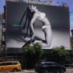 Amandla Stenberg Instagram - how can you hate queer people when they are so effervescent—the manifestation of creativity, joy and love? divine power is scary to weak people. It’s a joy to be a face of @calvinklein’s pride campaign and although it’s terrifying it’s affirming to see my body plastered on billboards expressing itself joyfully. this campaign is in partnership with @ilgaworld, @pflag, and @translawcenter in their efforts toward LGBTQIA advocacy, equity and safety. #ad
