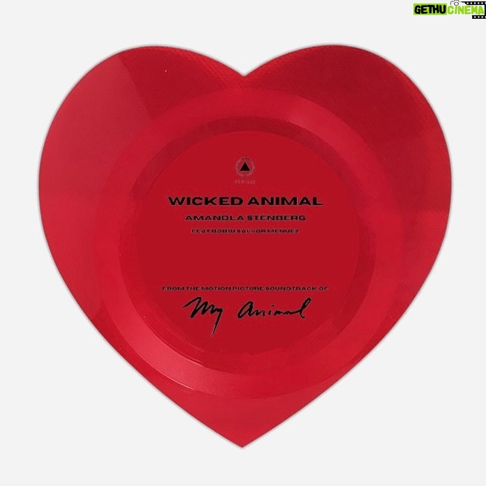 Amandla Stenberg Instagram - Happy valentine’s day 💌 here’s Jonny from “My Animal” Tomorrow we are having a special screening and q&a at the Roxy and there will be heart shaped records of my song Wicked Animal in the house 💿 come ! link in bio
