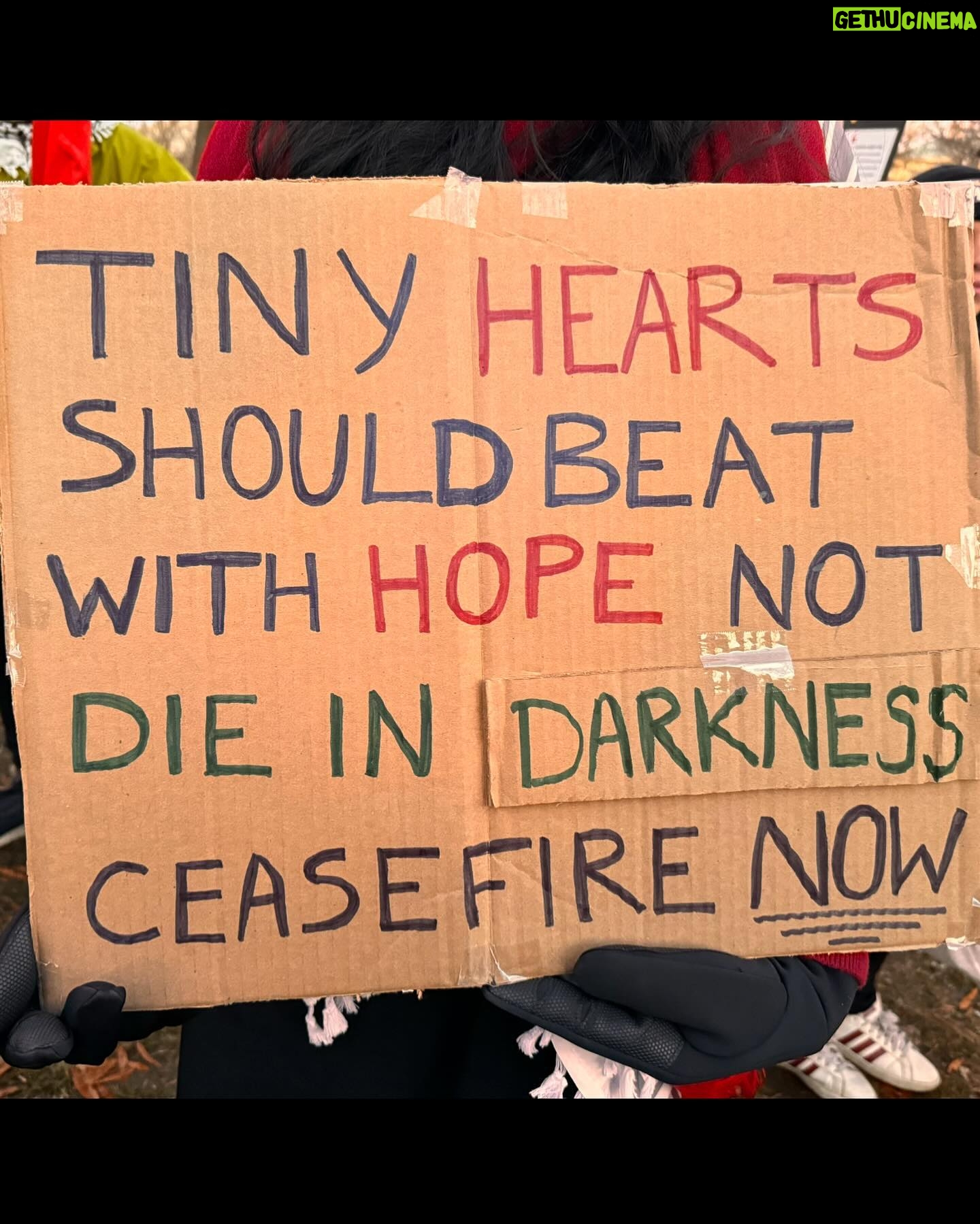 Amandla Stenberg Instagram - Washington, D.C. now KILLING THE FLOWERS WILL NOT DELAY THE SPRING TINY HEARTS SHOULD BEAT WITH HOPE NOT DIE IN DARKNESS CAN WE AGREE GENOCIDE IS NOT OKAY? CEASEFIRE NOW