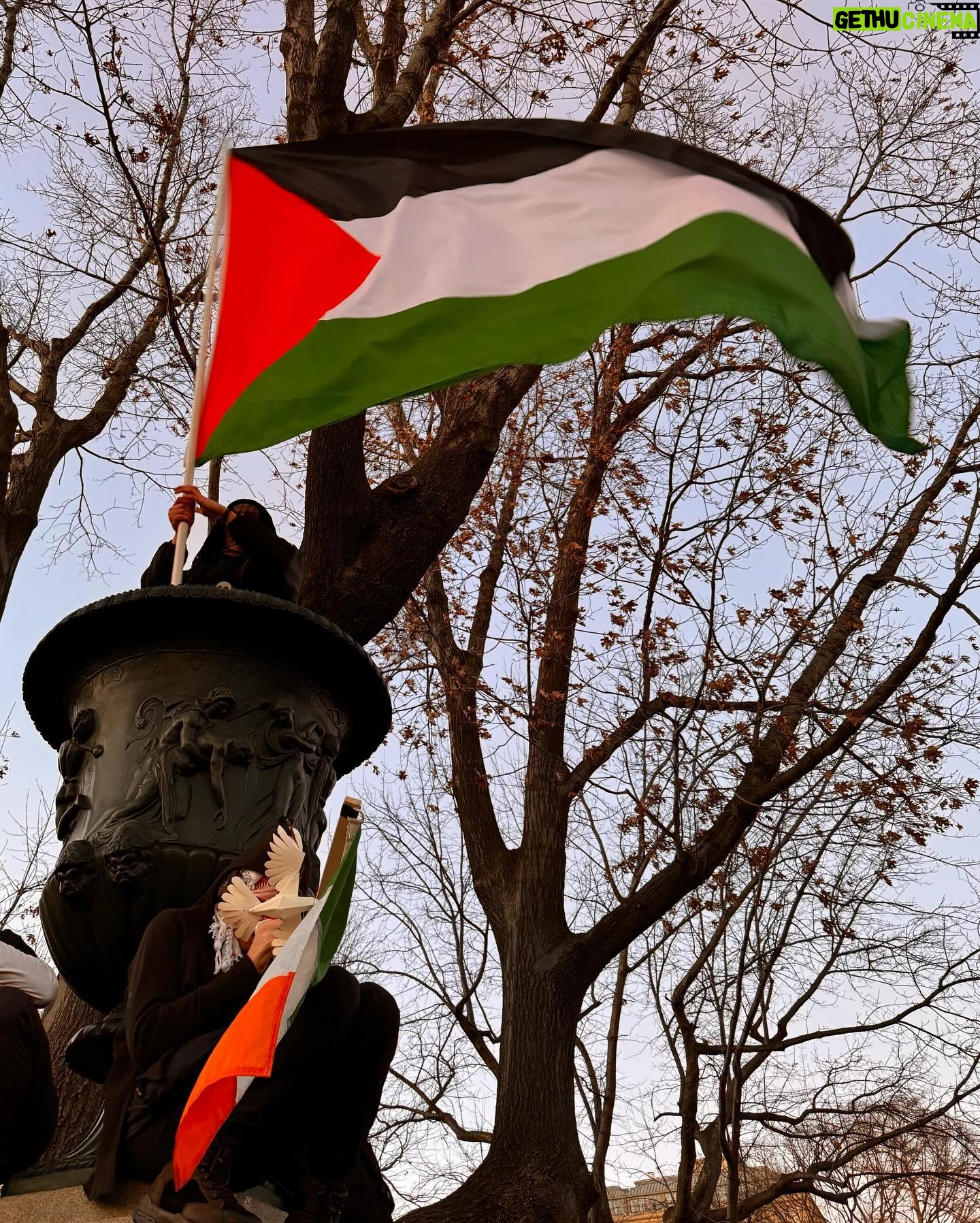 Amandla Stenberg Instagram - Washington, D.C. now KILLING THE FLOWERS WILL NOT DELAY THE SPRING TINY HEARTS SHOULD BEAT WITH HOPE NOT DIE IN DARKNESS CAN WE AGREE GENOCIDE IS NOT OKAY? CEASEFIRE NOW