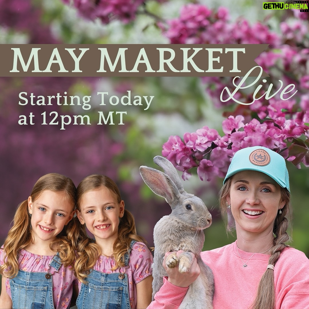 Amber Marshall Instagram - TODAY IS THE DAY!! I hope to see many of you out in Diamond Valley today for our May Market, but if you can’t make it in person, you can tune in to our live stream on the @marshallscountrystore Instagram page at noon today! It will also be streamed on my Amber Marshall FaceBook Page and YouTube. 😊