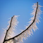 Amber Marshall Instagram - We have had incredibly mild temperatures this winter so far, but the cold is on its way…. Sliding into the -20’s by next week. At least it’s beautiful to look at! ❄️☀️