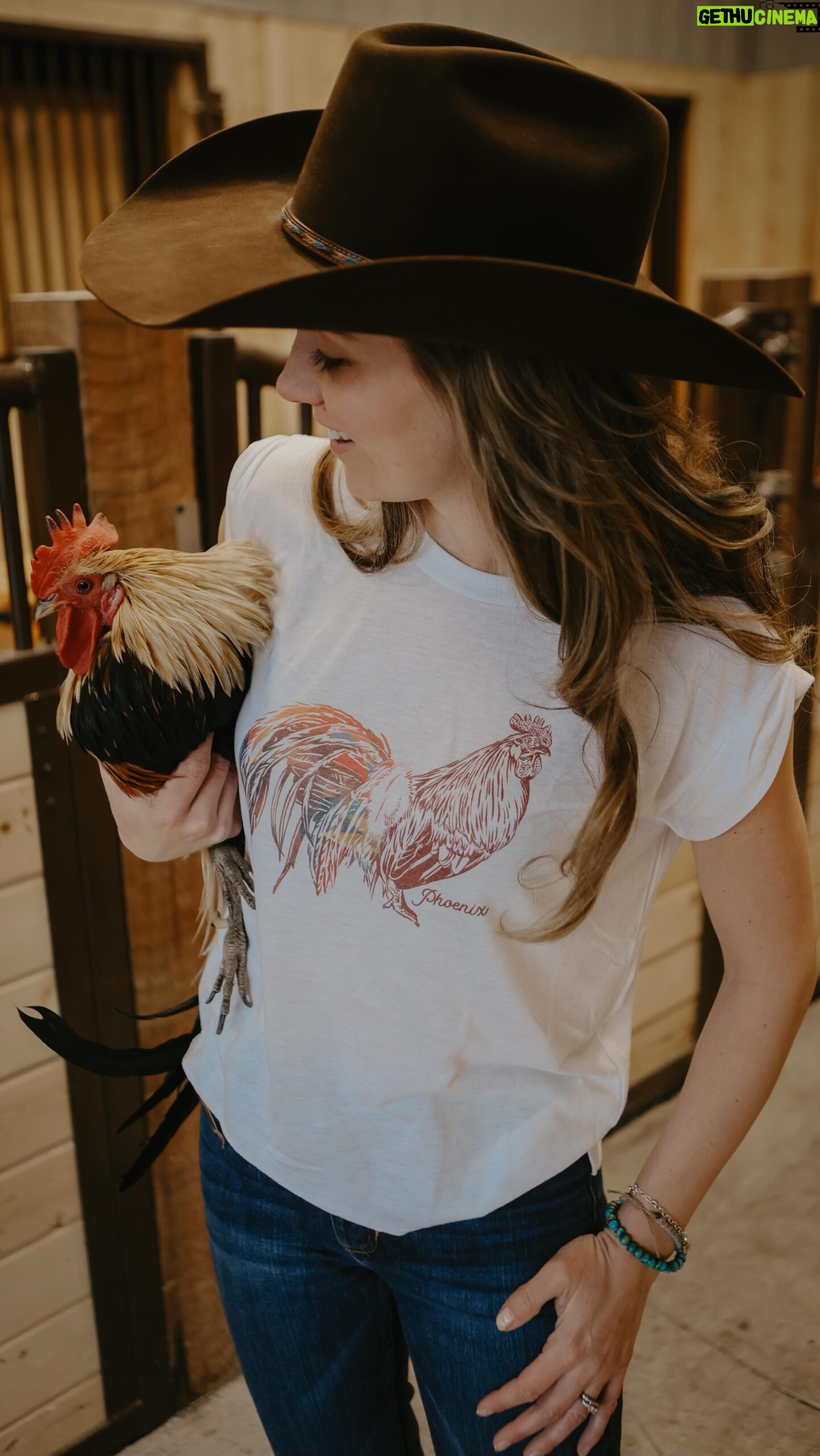 Amber Marshall Instagram - Coming soon ✨ Introducing @amber_marshall_farm newest animal t-shirt to add to your collection. Find the Phoenix shirt and other new items on our website tomorrow, January 23rd, at 12pm MST. Mark your calendars! 😊