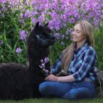 Amber Marshall Instagram - Many of you have been asking how my old alpaca Betty is doing. I knew she was on her last legs this past year and is it with a heavy heart I report she has finally made her way across the rainbow bridge. Betty was with us many years, and took great care of all the calves each spring. She would lay with them in the pasture, often seen grooming them, and keeping all safe from predators. I remember back to one harsh snowstorm when I went out in our big field searching for a younger calf that was missing. I found Betty laying out in the far corner of the 100 acre pasture, and underneath her hid the newborn calf, just his nose poking out from her snow covered body. She really was one of a kind and her presence will be greatly missed on the farm. #BettyTheAlpaca ❤️