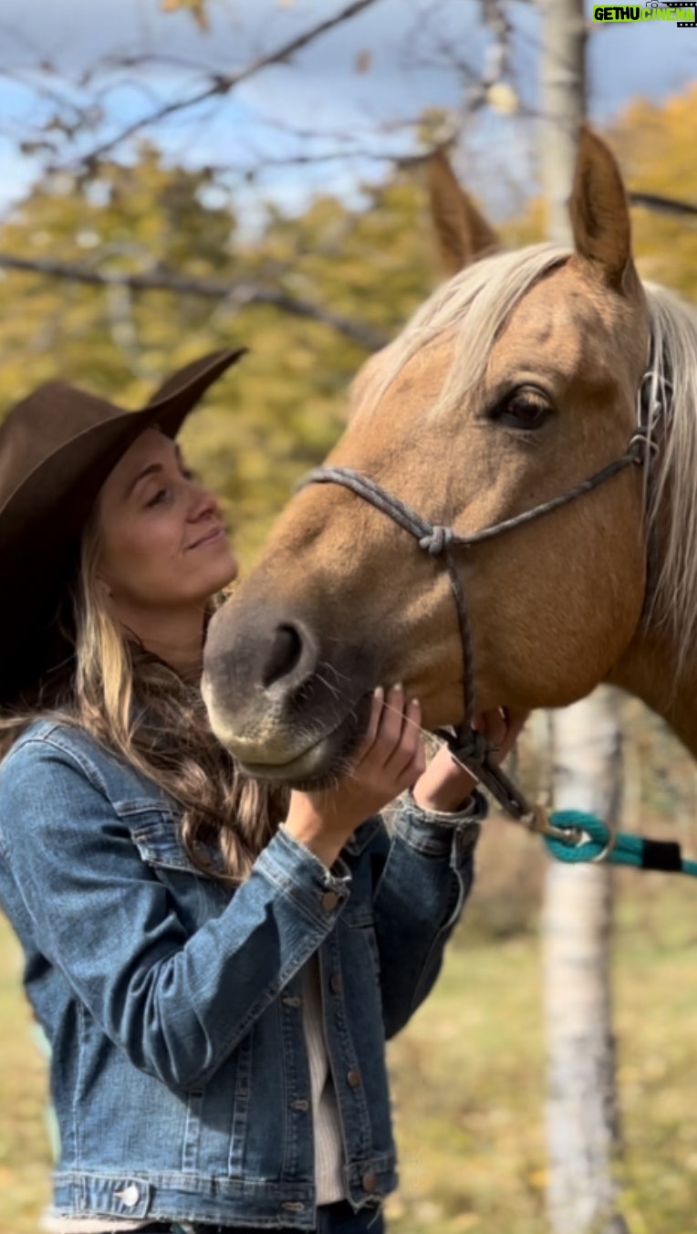 Amber Marshall Instagram - Beyond the set of Heartland, there exists a profound bond between Amber and her horses. We witnessed this firsthand while filming with @amber_marshall_farm for our documentary called Rescued Hearts - a film about the magic, the miracles, and the mystery of healing with horses. Be the first to know about the film’s release by subscribing on our website: RescuedHeartsFilm.com Follow @rescuedheartsfilm for more beautiful BTS 🎥 #AmberMarshall #RescuedHeartsFilm #HealingWithHorses #BehindTheScenes #AmbersHorseCruz #DocumentaryMagic