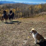Amber Marshall Instagram - I’m thankful for so many things. 🍁 This past weekend was Thanksgiving for us in Canada and I was very happy to have my dad and step-mom join us. I don’t get to see them very often, but when I do, we always make the most of it. I’m thankful for the time I have with those I hold close to my heart, and for beautiful autumn rides in the place I call home. I’m thankful for a good meal, a place to hang my hat and an incredible man to share that space with, and maybe a chai lattes in front of a warm fire with dogs asleep at our feet. My heart is with anyone who is affected by war and the horrific acts around the world. Keep those who mean the most to you close, and love them with all your heart. In a world where there is so much fear, misunderstanding and hate, choose kindness. ❤️