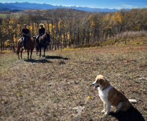 Amber Marshall Instagram - I’m thankful for so many things. 🍁 

This past weekend was Thanksgiving for us in Canada and I was very happy to have my dad and step-mom join us. I don’t get to see them very often, but when I do, we always make the most of it. 

I’m thankful for the time I have with those I hold close to my heart, and for beautiful autumn rides in the place I call home. I’m thankful for a good meal, a place to hang my hat and an incredible man to share that space with, and maybe a chai lattes in front of a warm fire with dogs asleep at our feet. 

My heart is with anyone who is affected by war and the horrific acts around the world. Keep those who mean the most to you close, and love them with all your heart. In a world where there is so much fear, misunderstanding and hate, choose kindness. ❤️
