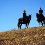 Amber Marshall Instagram - I’m thankful for so many things. 🍁 This past weekend was Thanksgiving for us in Canada and I was very happy to have my dad and step-mom join us. I don’t get to see them very often, but when I do, we always make the most of it. I’m thankful for the time I have with those I hold close to my heart, and for beautiful autumn rides in the place I call home. I’m thankful for a good meal, a place to hang my hat and an incredible man to share that space with, and maybe a chai lattes in front of a warm fire with dogs asleep at our feet. My heart is with anyone who is affected by war and the horrific acts around the world. Keep those who mean the most to you close, and love them with all your heart. In a world where there is so much fear, misunderstanding and hate, choose kindness. ❤️
