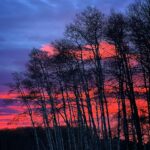 Amber Marshall Instagram – The sky has been showing off lately. Must be trying to compete with my Christmas lights… 🤓🎄