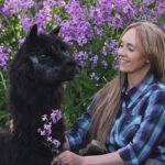 Amber Marshall Instagram – #MarshallSundayStory: Last week I told you the story of how my cat Turner came to live with me. This week, (after many requests) we will learn more about #BettyTheAlpaca who lived with us for a decade before she crossed the rainbow bridge. 

It was the summer of 2013 and I was at a ranch with my friend @KatieConnolley looking at some horses that were for sale. There was a lone alpaca there, so asked what her story was. The owner said he didn’t know how old she was, or much about her, as she had been left behind from a previous herd. He then said, “If you want her she’s yours.” 

I had no experience with llamas or alpacas but something about her just made me want to bring her home. She was not tame, and we had to wrangle her into a small pen, then rope and tackle her. I put an old t-shirt over her face to keep her calm, then we lifted her into the backseat of my truck – we hadn’t brought a trailer, so I sat holding her while my friend Katie drove us home (see last photo that was taken when we arrived home). 

I decided to turn her out with my cows so she wasn’t alone, and instantly she loped over to the young calves and started grooming them. She became Nanny Betty from then on. She took her job so seriously she would never let the calves out of her sight. My moma cows began trusting Betty, and would leave their calves with her for hours while they went out further to graze. 
Over the years Betty really warmed up to me. She even learned how to be haltered and walk nicely while being led. I miss Betty, as do my cows, and I’m not sure I will ever find another alpaca like her. ❤️

🦙 Story too long for this post, I have continued in the comments. 

See more of Betty on Instagram here: #BettyTheAlpaca