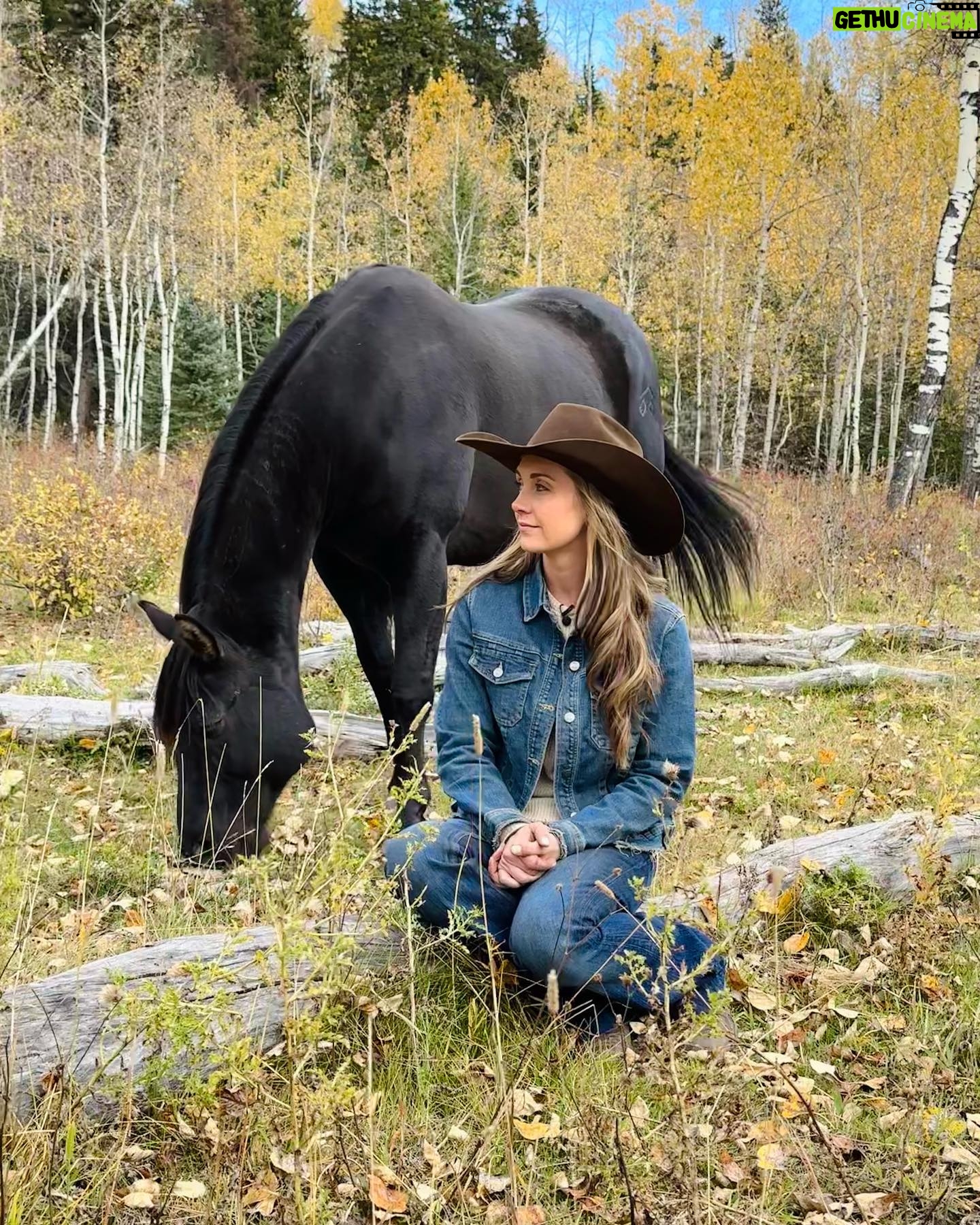 Amber Marshall Instagram - 🎥 Amber Marshall to be Featured in Upcoming Documentary on the Healing Power of Horses! When we set out to create a film sharing the healing power of the horse-human connection, we sought individuals who live and breathe the world of horses daily—those who truly listen to these majestic animals and have witnessed the profound depth of this bond firsthand. If you’ve watched any bit of the TV show “Heartland,” you’ve seen this power on full display. Although the show is a narrative, the lead actress, Amber Marshall, lives a life that is quite similar to the character she portrays. So when Amber agreed to be included in our film, we were thrilled! The moments we shared during filming? ✨Pure magic✨ We can’t wait to share more, and hope you’ll stay connected to us as we plan to release Rescued Hearts Film next summer, 2024. 🎥 Stay tuned as we share behind-the-scenes glimpses of our remarkable journey with @amber_marshall_farm and the @rescuedheartsfilm team. 🎬 Follow @rescuedheartsfilm 🔗 And for exclusive film updates, subscribe on our website: rescuedheartsfilm.com 📺 If you haven't seen @official_heartlandoncbc, dive in because it just might change your life! #RescuedHeartsFilm #AmberMarshall #HealingWithHorses #Documentary #BehindTheScenes #ComingSoon #Heartland #HorseListener #Horses #Filmmaking #Canada