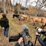 Amber Marshall Instagram - 🎥 Amber Marshall to be Featured in Upcoming Documentary on the Healing Power of Horses! When we set out to create a film sharing the healing power of the horse-human connection, we sought individuals who live and breathe the world of horses daily—those who truly listen to these majestic animals and have witnessed the profound depth of this bond firsthand. If you’ve watched any bit of the TV show “Heartland,” you’ve seen this power on full display. Although the show is a narrative, the lead actress, Amber Marshall, lives a life that is quite similar to the character she portrays. So when Amber agreed to be included in our film, we were thrilled! The moments we shared during filming? ✨Pure magic✨ We can’t wait to share more, and hope you’ll stay connected to us as we plan to release Rescued Hearts Film next summer, 2024. 🎥 Stay tuned as we share behind-the-scenes glimpses of our remarkable journey with @amber_marshall_farm and the @rescuedheartsfilm team. 🎬 Follow @rescuedheartsfilm 🔗 And for exclusive film updates, subscribe on our website: rescuedheartsfilm.com 📺 If you haven't seen @official_heartlandoncbc, dive in because it just might change your life! #RescuedHeartsFilm #AmberMarshall #HealingWithHorses #Documentary #BehindTheScenes #ComingSoon #Heartland #HorseListener #Horses #Filmmaking #Canada
