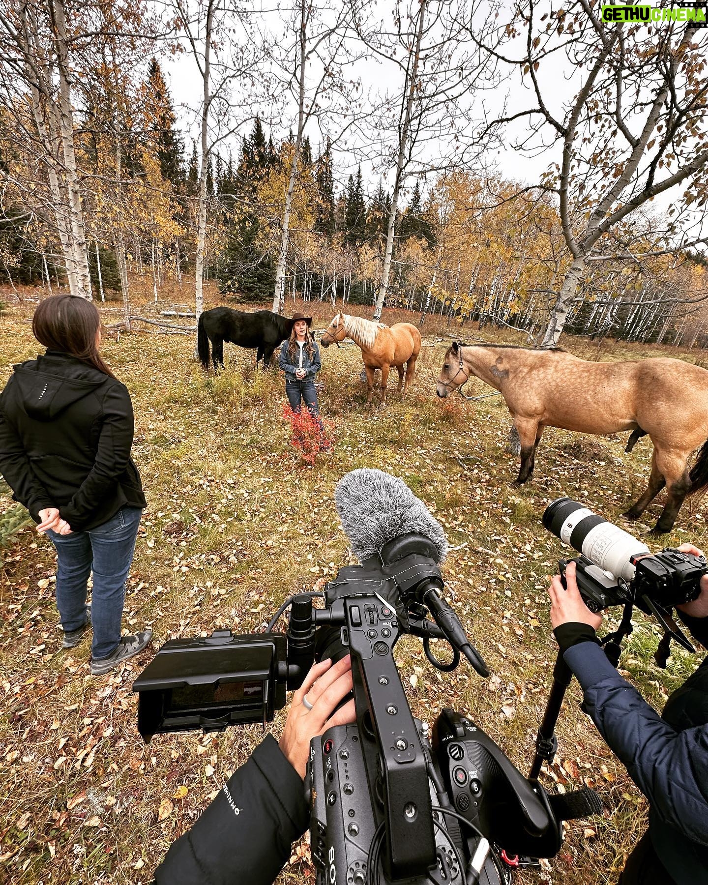 Amber Marshall Instagram - 🎥 Amber Marshall to be Featured in Upcoming Documentary on the Healing Power of Horses! When we set out to create a film sharing the healing power of the horse-human connection, we sought individuals who live and breathe the world of horses daily—those who truly listen to these majestic animals and have witnessed the profound depth of this bond firsthand. If you’ve watched any bit of the TV show “Heartland,” you’ve seen this power on full display. Although the show is a narrative, the lead actress, Amber Marshall, lives a life that is quite similar to the character she portrays. So when Amber agreed to be included in our film, we were thrilled! The moments we shared during filming? ✨Pure magic✨ We can’t wait to share more, and hope you’ll stay connected to us as we plan to release Rescued Hearts Film next summer, 2024. 🎥 Stay tuned as we share behind-the-scenes glimpses of our remarkable journey with @amber_marshall_farm and the @rescuedheartsfilm team. 🎬 Follow @rescuedheartsfilm 🔗 And for exclusive film updates, subscribe on our website: rescuedheartsfilm.com 📺 If you haven't seen @official_heartlandoncbc, dive in because it just might change your life! #RescuedHeartsFilm #AmberMarshall #HealingWithHorses #Documentary #BehindTheScenes #ComingSoon #Heartland #HorseListener #Horses #Filmmaking #Canada