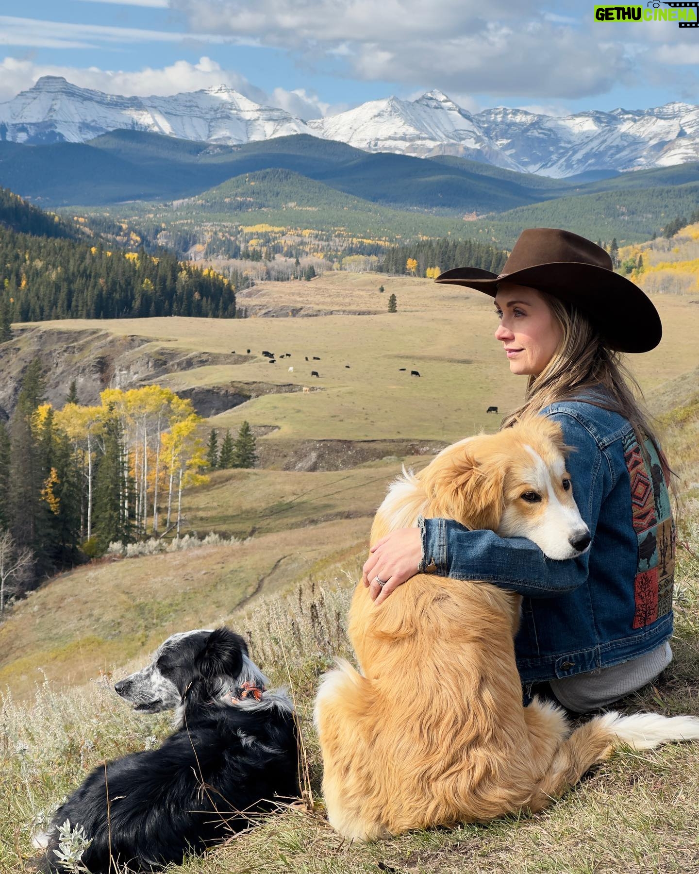 Amber Marshall Instagram - 🎥 Amber Marshall to be Featured in Upcoming Documentary on the Healing Power of Horses! When we set out to create a film sharing the healing power of the horse-human connection, we sought individuals who live and breathe the world of horses daily—those who truly listen to these majestic animals and have witnessed the profound depth of this bond firsthand. If you’ve watched any bit of the TV show “Heartland,” you’ve seen this power on full display. Although the show is a narrative, the lead actress, Amber Marshall, lives a life that is quite similar to the character she portrays. So when Amber agreed to be included in our film, we were thrilled! The moments we shared during filming? ✨Pure magic✨ We can’t wait to share more, and hope you’ll stay connected to us as we plan to release Rescued Hearts Film next summer, 2024. 🎥 Stay tuned as we share behind-the-scenes glimpses of our remarkable journey with @amber_marshall_farm and the @rescuedheartsfilm team. 🎬 Follow @rescuedheartsfilm 🔗 And for exclusive film updates, subscribe on our website: rescuedheartsfilm.com 📺 If you haven't seen @official_heartlandoncbc, dive in because it just might change your life! #RescuedHeartsFilm #AmberMarshall #HealingWithHorses #Documentary #BehindTheScenes #ComingSoon #Heartland #HorseListener #Horses #Filmmaking #Canada