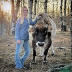 Amber Marshall Instagram - My friend Natalie visiting old man Tuff, who I purchased off her many moons ago as a breeding bull. Now, over a decade later, Tuff is retired and enjoys his days slowly wandering out in the pasture with his herd, and Natalie visits him any chance she gets. ❤️ Click #AmbersJerseyTuff to see photos of him over the years.