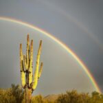 Amber Marshall Instagram – It was a cold and rainy stop in Arizona, but it did make for some pretty pictures! 

🌈
🌵
🌈
🌵
🌈
🌵

#NeverTookMyLongjohnsOff #ThankfulForHotShowers
#itsWarmerinAlbertaNow #DesertRainbow #SaguaroCactus #Arizona #DesertRain #Cactus