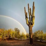 Amber Marshall Instagram – It was a cold and rainy stop in Arizona, but it did make for some pretty pictures! 

🌈
🌵
🌈
🌵
🌈
🌵

#NeverTookMyLongjohnsOff #ThankfulForHotShowers
#itsWarmerinAlbertaNow #DesertRainbow #SaguaroCactus #Arizona #DesertRain #Cactus