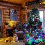 Amber Marshall Instagram – The snow is fluffy on the ground outside, fireplace is toasty and the cabin is cozy, and from our family to yours we wish you a very Merry Christmas! 🎄