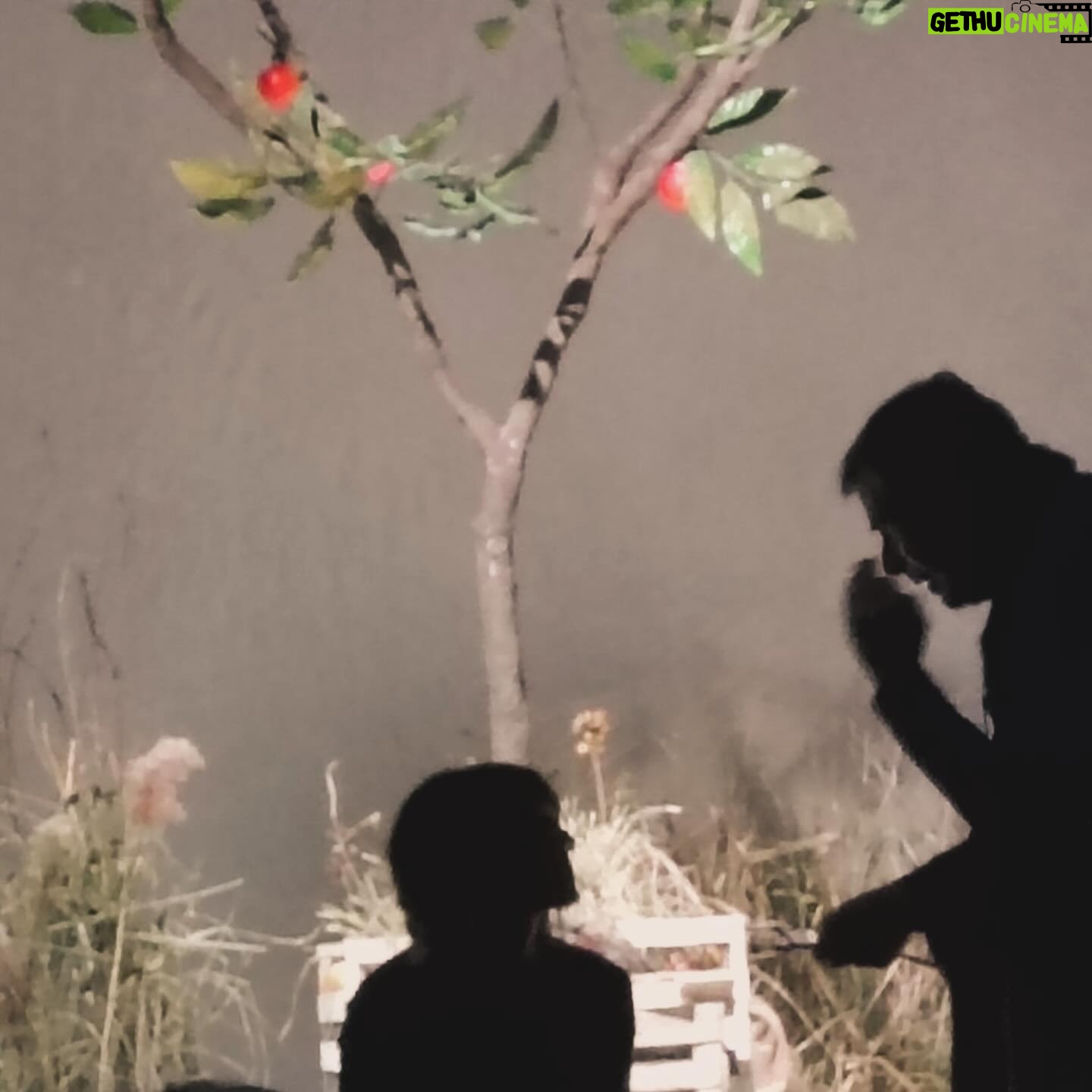 Ambra Angiolini Instagram - Quando fai e non parli, quando ti scoppia il cuore anche all’idea di avere la superpaura , quando ami oltre il tuo biologico … non ti preoccupi di quello che significhi tu per il teatro, pensi a quanto lui sia importante per te. Grazie prima ancora di iniziare a tremare, in ogni senso possibile. OLIVA DENARO… ci siamo quasi @violardone #giorgiogallione @agidi_srl @goldenart.production @notorialab @gra69 @jolandarenga ph by @iamtitticupido @devisofficial @teatrogiudittapasta #💚
