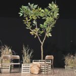 Ambra Angiolini Instagram – Quando fai e non parli, quando ti scoppia il cuore anche all’idea di avere la superpaura , quando ami oltre il tuo biologico … non ti preoccupi di quello che significhi tu per il teatro, pensi a quanto lui  sia importante per te. Grazie prima ancora di iniziare a tremare, in ogni senso possibile.  OLIVA DENARO… ci siamo quasi @violardone #giorgiogallione @agidi_srl @goldenart.production @notorialab @gra69 @jolandarenga ph by @iamtitticupido @devisofficial @teatrogiudittapasta #💚