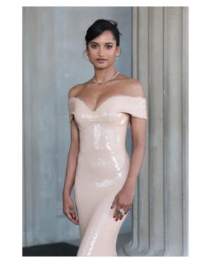 Amita Suman Instagram - A night to never forget 🎉

@moniquelhuillier thank you for dressing me ❤️
@palberdahl thank you for working your magic on the longest hair ♥️

@charlottetilbury make up 

@nationalgallery #NatGala #NG200 @ivanalostudio 
 
Photographer -
@jamesdkelly @davebenett
@shaneanthonysinclair.ig