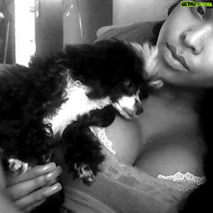 Amiyah Scott - 82.8K Likes - For my 20th birthday I got a puppy, a teacup poodle, that turned out to be so much more than a pet. Bridgette was a person. If you knew her, you know what I mean. The funniest little dog I’ve ever met; my baby. 😔❤️ B was there for everything! I grew up with her, I found myself with her and sometimes she was all I had. I will remember you forever. I love you Bridgette. Rest In Peace my babygirl. She would’ve been 12 years old in a week 💔