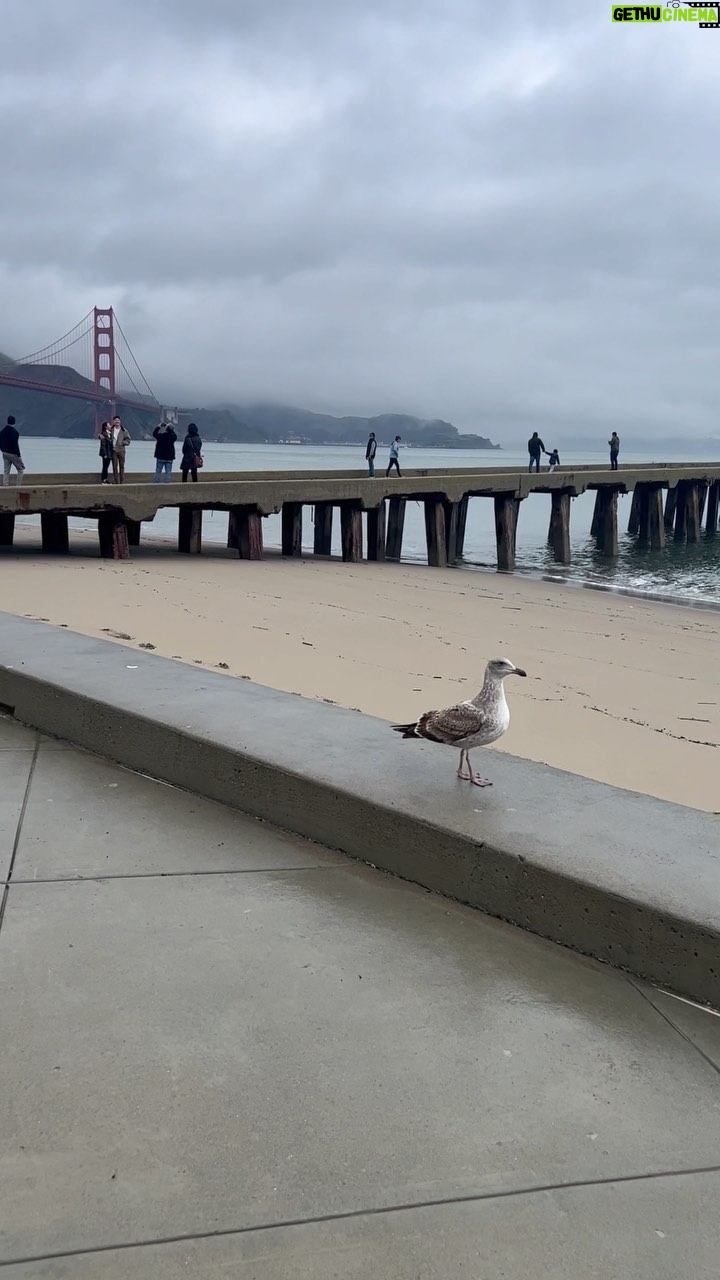 Amy Dumas Instagram - Foggy day in The City #SF #fortpoint #goldengatebridge #ggbridge #sanfrancisco