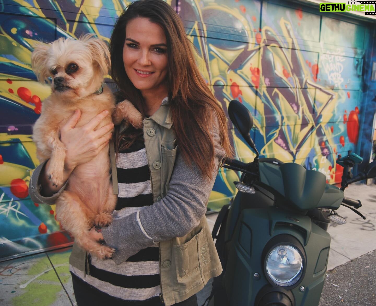 Amy Dumas - 18.5K Likes - I’m saddened to make this post but….
my faithful @genuinescooters Hoolie of 10 years was stolen today. If you’re in SF keep a lookout for a matte green Genuine Hooligan. It has been registered as stolen. If you’re in the Bay Area please share. Maybe I can find her before she’s chopped and stripped 🥹
These pics are from happier days over the years. I haven’t known a life without my scoot in 15 years. I’ve put so many miles on these 2 wheels- she was a little beat up- but I wouldn’t have traded her for anything. 🥹🥹
#scooter
#scooterlife
#twowheels
