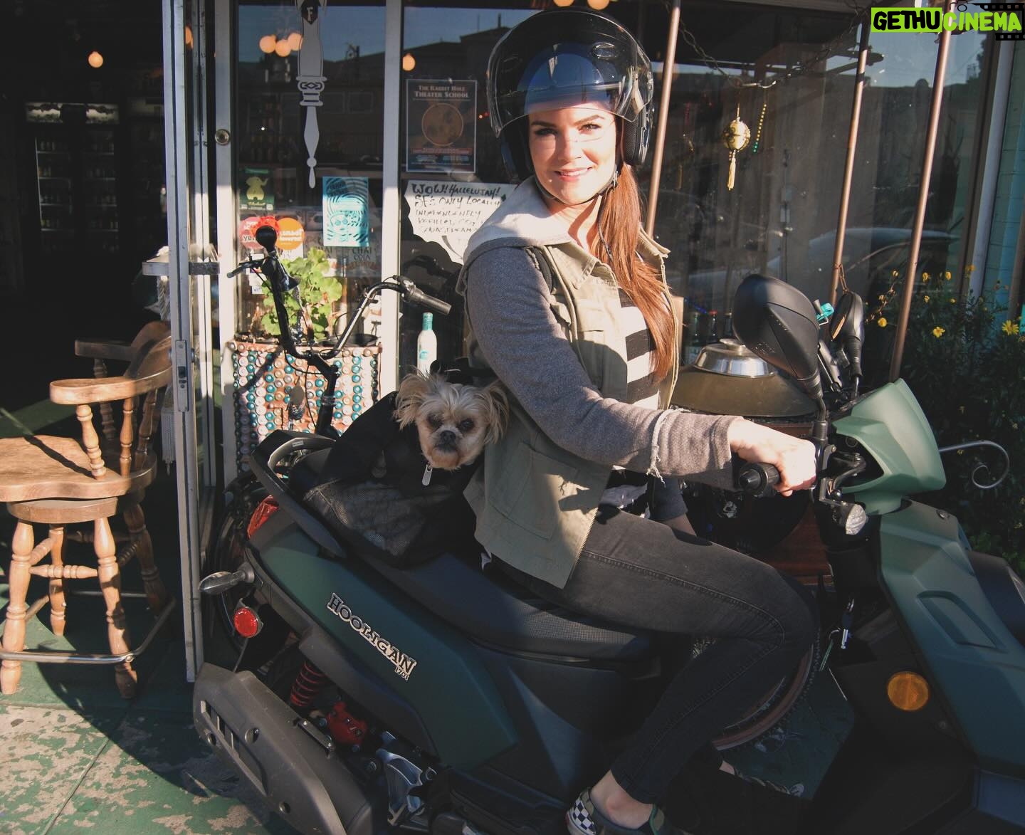 Amy Dumas - 18.5K Likes - I’m saddened to make this post but….
my faithful @genuinescooters Hoolie of 10 years was stolen today. If you’re in SF keep a lookout for a matte green Genuine Hooligan. It has been registered as stolen. If you’re in the Bay Area please share. Maybe I can find her before she’s chopped and stripped 🥹
These pics are from happier days over the years. I haven’t known a life without my scoot in 15 years. I’ve put so many miles on these 2 wheels- she was a little beat up- but I wouldn’t have traded her for anything. 🥹🥹
#scooter
#scooterlife
#twowheels