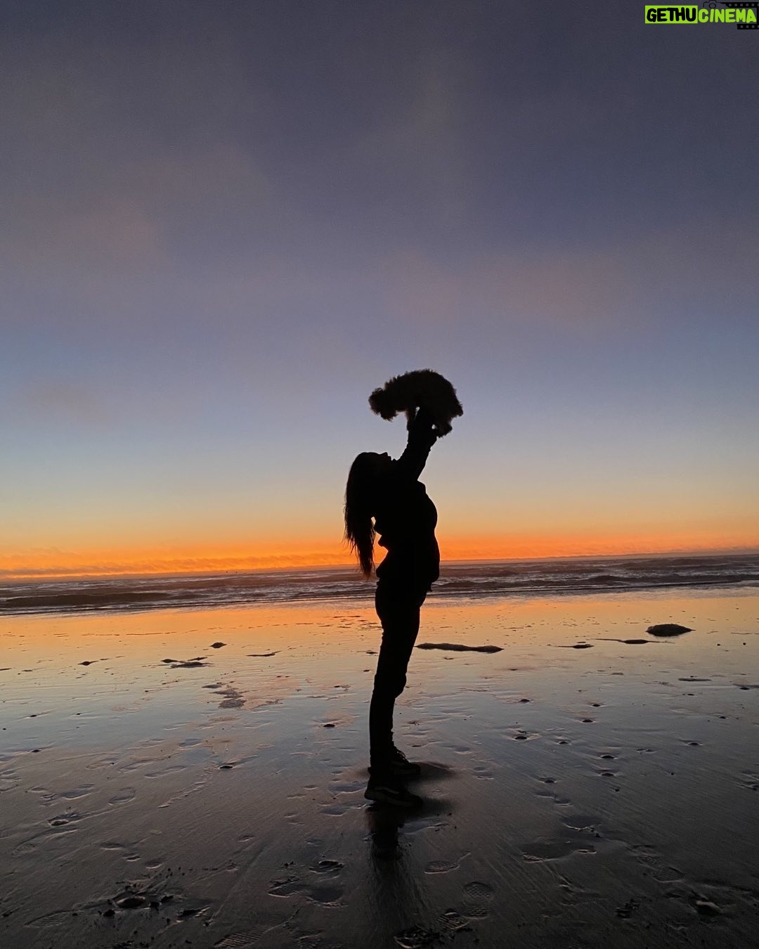 Amy Dumas - 48.2K Likes - Right now I have no words, just sadness. I always knew it couldnāt last forever so we made the most of our decades together every day. Iāve never known a love so deep or profound as ours. I am devastated and heartbroken but beyond thankful to have had our story together. My deepest love to you always @_thekenz_