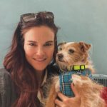 Amy Dumas Instagram – Who will adopt Ledger from @muttvillesf and then be my friend so I can visit?
#seniordogsrule
#seniorsweeties
#muttville
#adoptdontshop