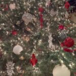 Amy Dumas Instagram - What’s your favorite Christmas song?