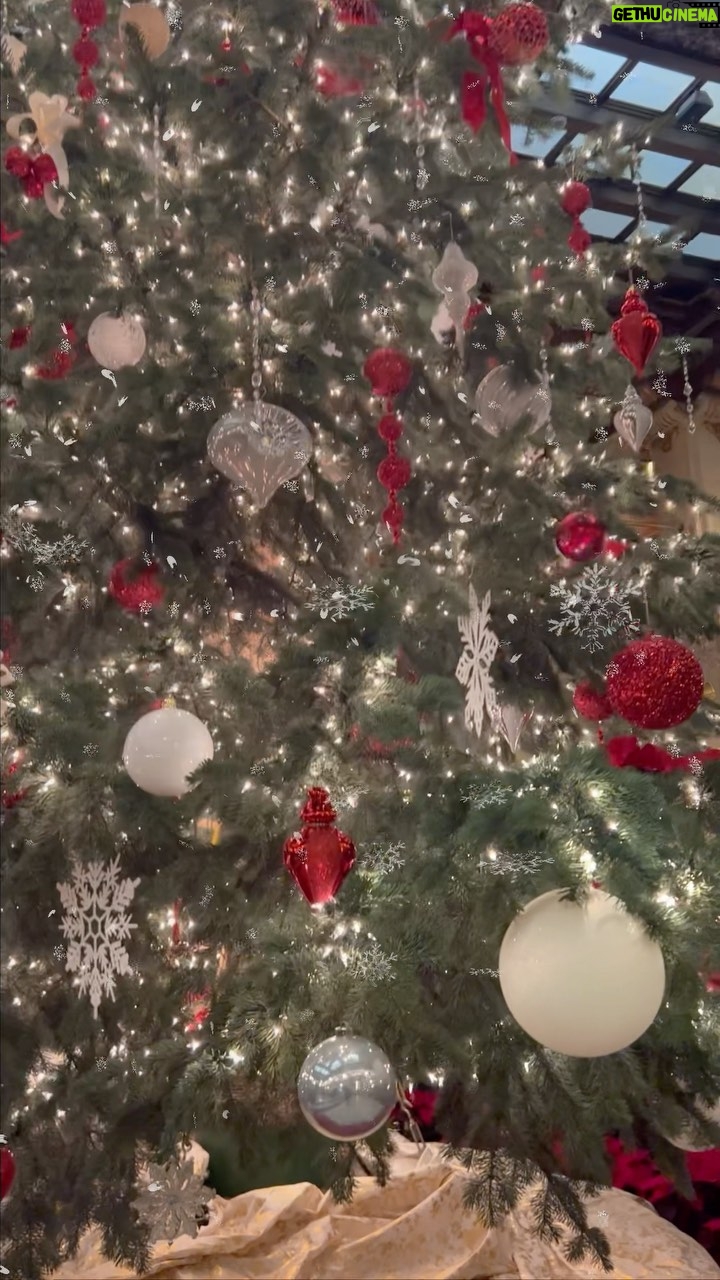 Amy Dumas Instagram - What’s your favorite Christmas song?