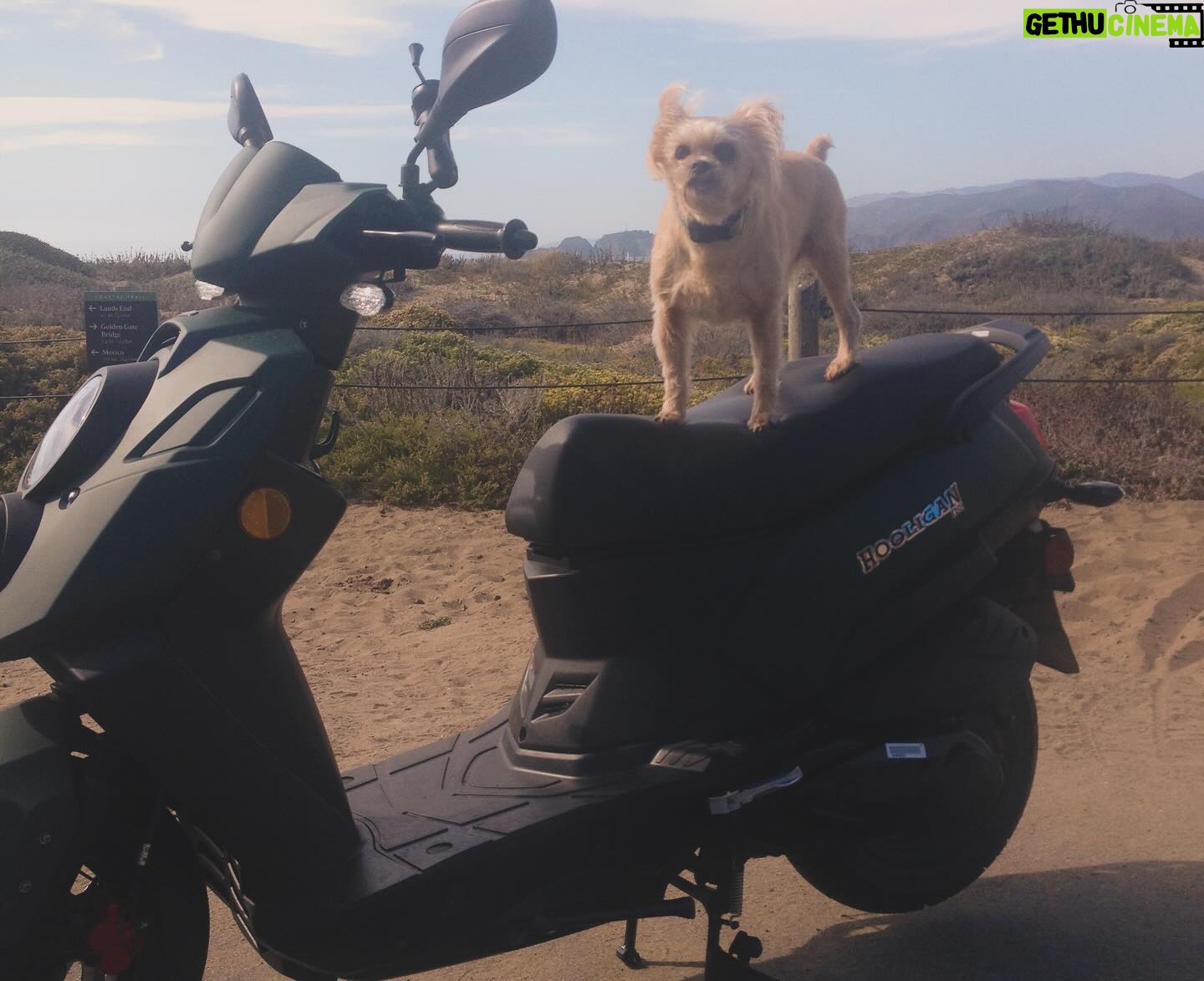 Amy Dumas - 18.5K Likes - I’m saddened to make this post but….
my faithful @genuinescooters Hoolie of 10 years was stolen today. If you’re in SF keep a lookout for a matte green Genuine Hooligan. It has been registered as stolen. If you’re in the Bay Area please share. Maybe I can find her before she’s chopped and stripped 🥹
These pics are from happier days over the years. I haven’t known a life without my scoot in 15 years. I’ve put so many miles on these 2 wheels- she was a little beat up- but I wouldn’t have traded her for anything. 🥹🥹
#scooter
#scooterlife
#twowheels
