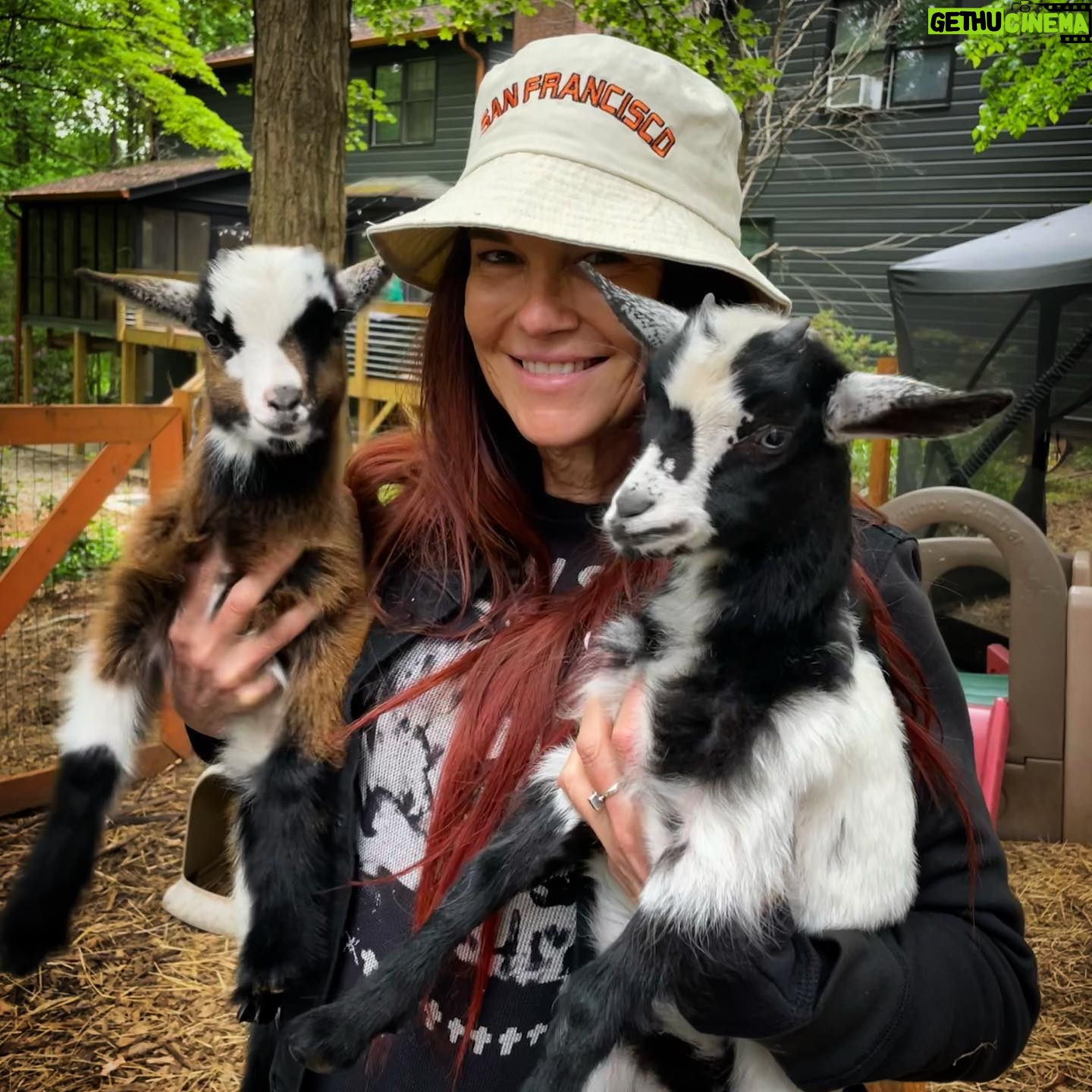Amy Dumas - 20.4K Likes - Thanks for 1M! Y’all the GOATs! 🐐🐐