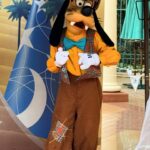 Amy Hart Instagram - Character Meet and Greets (that we found!)🤩 There are lots of other ones (breakfast, lunch and dinner at Plaza Gardens, meet Mickey Mouse, Princess Pavilion and Hotel M&G’s) these are just the ones we saw whilst milling around! I tried to ask about times and some of the staff said the timings come up on the app! If you know any more put them in the comments to help others! 1) Royal Banquet at the Disneyland Hotel. Lunch is Minnie, Mickey, Donald and Daisy and then at dinner it’s M&M, Goofy and Pluto! 2) Winnie The Pooh, just down the side of the emporium on Main St!! 3) Hollywood Goofy, entrance to Studios park. 4&5) Captain Hook, Peter Pan and Wendy, Adventureland. 12.15-1, 1.15-1.45 6) Genie 10-4, just by the agrabah cafe 7) Phantom Mickey, by phantom manor 8)Wild West Goofy, by cowboy cookout, 10-4 9) Chip & Dale, by Colonel Hathi’s, 11.45-2 10) Pluto & Donald, by Indiana Jones, 11.45-1.45