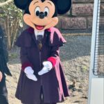 Amy Hart Instagram - Character Meet and Greets (that we found!)🤩 There are lots of other ones (breakfast, lunch and dinner at Plaza Gardens, meet Mickey Mouse, Princess Pavilion and Hotel M&G’s) these are just the ones we saw whilst milling around! I tried to ask about times and some of the staff said the timings come up on the app! If you know any more put them in the comments to help others! 1) Royal Banquet at the Disneyland Hotel. Lunch is Minnie, Mickey, Donald and Daisy and then at dinner it’s M&M, Goofy and Pluto! 2) Winnie The Pooh, just down the side of the emporium on Main St!! 3) Hollywood Goofy, entrance to Studios park. 4&5) Captain Hook, Peter Pan and Wendy, Adventureland. 12.15-1, 1.15-1.45 6) Genie 10-4, just by the agrabah cafe 7) Phantom Mickey, by phantom manor 8)Wild West Goofy, by cowboy cookout, 10-4 9) Chip & Dale, by Colonel Hathi’s, 11.45-2 10) Pluto & Donald, by Indiana Jones, 11.45-1.45