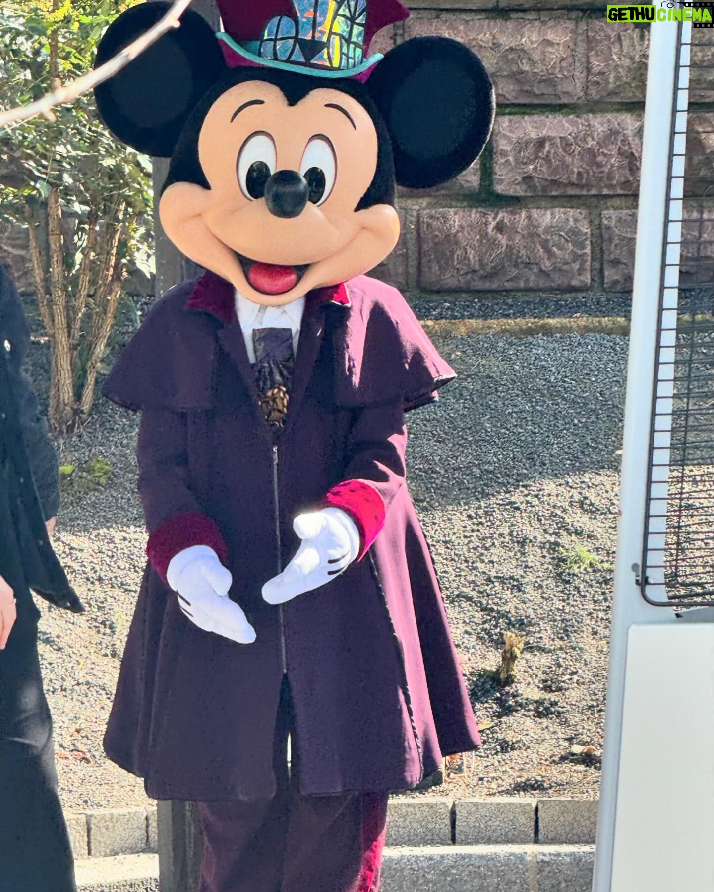 Amy Hart Instagram - Character Meet and Greets (that we found!)🤩 There are lots of other ones (breakfast, lunch and dinner at Plaza Gardens, meet Mickey Mouse, Princess Pavilion and Hotel M&G’s) these are just the ones we saw whilst milling around! I tried to ask about times and some of the staff said the timings come up on the app! If you know any more put them in the comments to help others! 1) Royal Banquet at the Disneyland Hotel. Lunch is Minnie, Mickey, Donald and Daisy and then at dinner it’s M&M, Goofy and Pluto! 2) Winnie The Pooh, just down the side of the emporium on Main St!! 3) Hollywood Goofy, entrance to Studios park. 4&5) Captain Hook, Peter Pan and Wendy, Adventureland. 12.15-1, 1.15-1.45 6) Genie 10-4, just by the agrabah cafe 7) Phantom Mickey, by phantom manor 8)Wild West Goofy, by cowboy cookout, 10-4 9) Chip & Dale, by Colonel Hathi’s, 11.45-2 10) Pluto & Donald, by Indiana Jones, 11.45-1.45