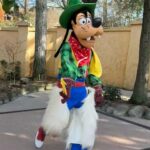 Amy Hart Instagram - Character Meet and Greets (that we found!)🤩 There are lots of other ones (breakfast, lunch and dinner at Plaza Gardens, meet Mickey Mouse, Princess Pavilion and Hotel M&G’s) these are just the ones we saw whilst milling around! I tried to ask about times and some of the staff said the timings come up on the app! If you know any more put them in the comments to help others! 1) Royal Banquet at the Disneyland Hotel. Lunch is Minnie, Mickey, Donald and Daisy and then at dinner it’s M&M, Goofy and Pluto! 2) Winnie The Pooh, just down the side of the emporium on Main St!! 3) Hollywood Goofy, entrance to Studios park. 4&5) Captain Hook, Peter Pan and Wendy, Adventureland. 12.15-1, 1.15-1.45 6) Genie 10-4, just by the agrabah cafe 7) Phantom Mickey, by phantom manor 8)Wild West Goofy, by cowboy cookout, 10-4 9) Chip & Dale, by Colonel Hathi’s, 11.45-2 10) Pluto & Donald, by Indiana Jones, 11.45-1.45